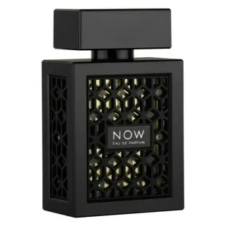 Ανδρικό άρωμα Rave Now EDP 100 ml.