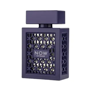 Ανδρικό άρωμα Rave Now Intense EDP 100 ml.