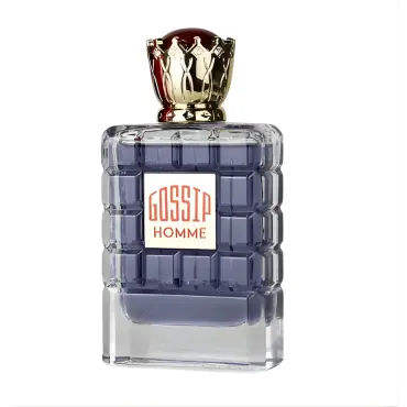 Ανδρικά αρώματα My Perfumes Gossip Home EDP 100 ml.
